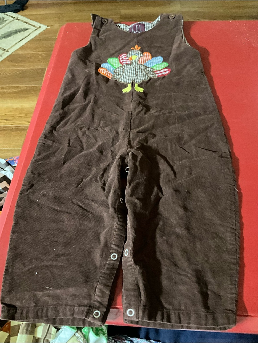 Lil Cactus size 2T THANKSGIVING longalls